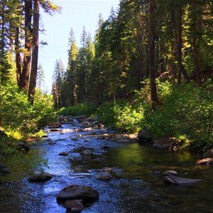 Meet your Posher, Janette